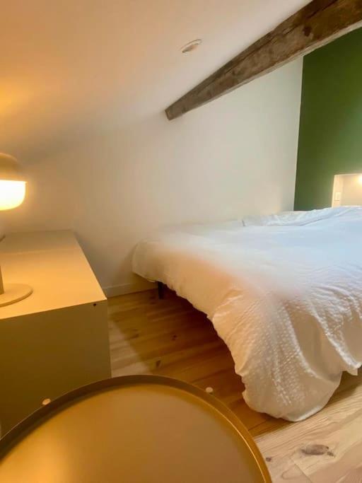 Ferienwohnung Le 23, Cocon Dans Le Centre Historique Montauban Exterior foto